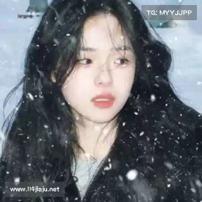 司达蕾